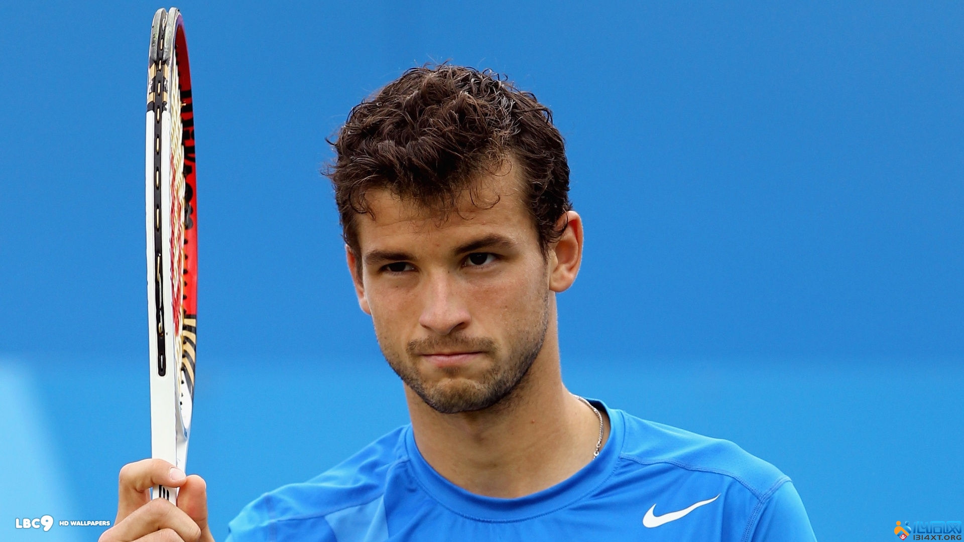 会给全队发 会给全队发